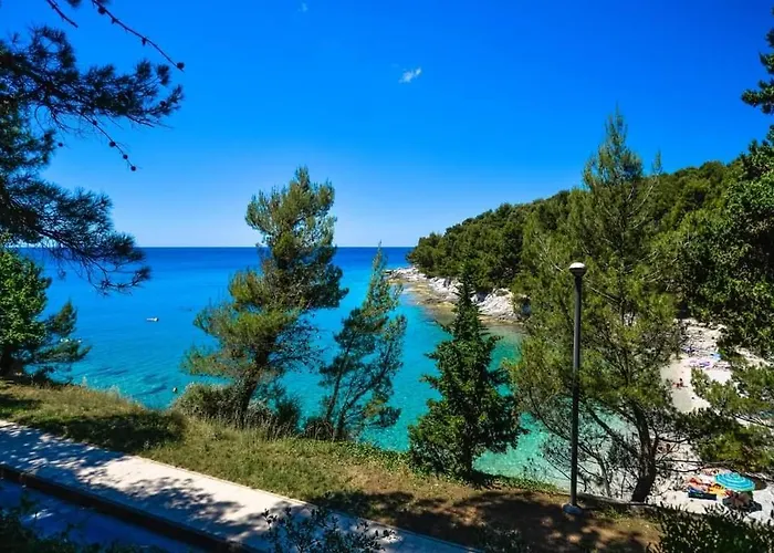 Apartment Zorika Near The Beach