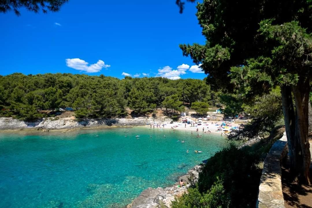 Zorika Near The Beach
